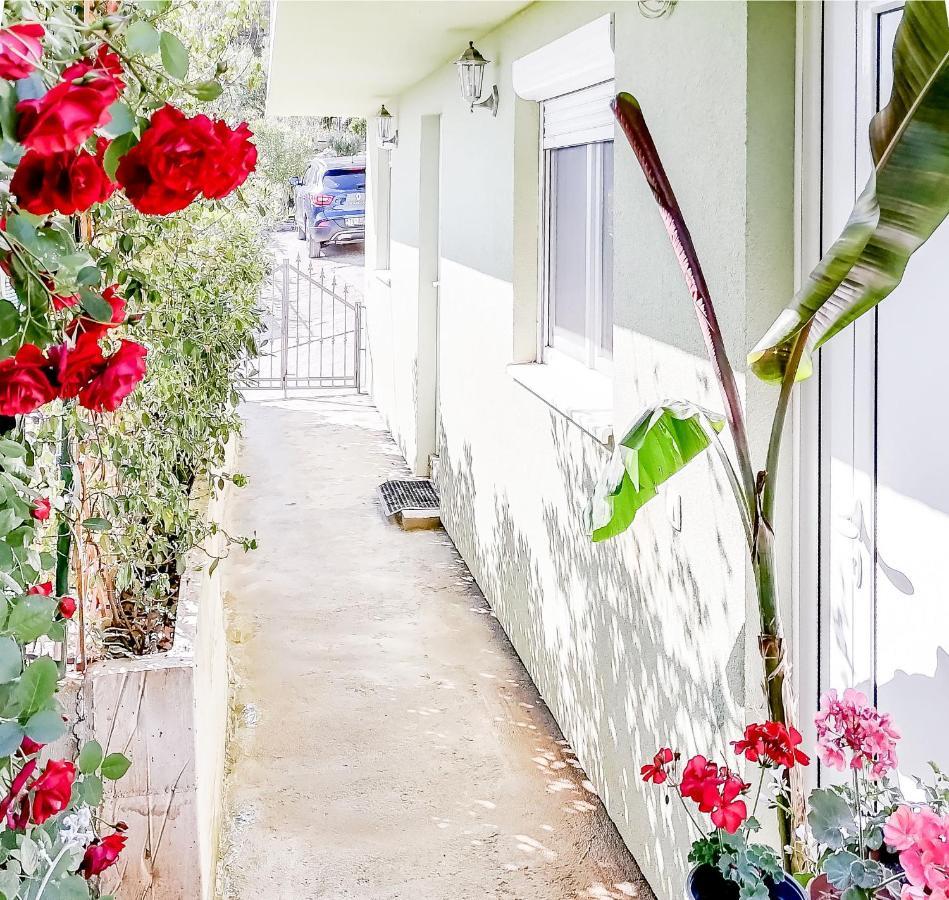 Apartments Siesta Tivat Exterior foto