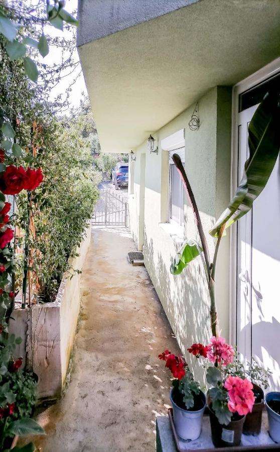Apartments Siesta Tivat Exterior foto